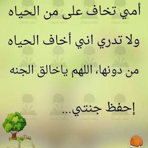 Meet your Posher, Mohamad